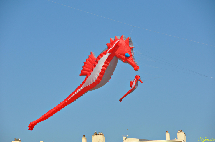 Natur'Ailes 2019 - Narbonne/Plage