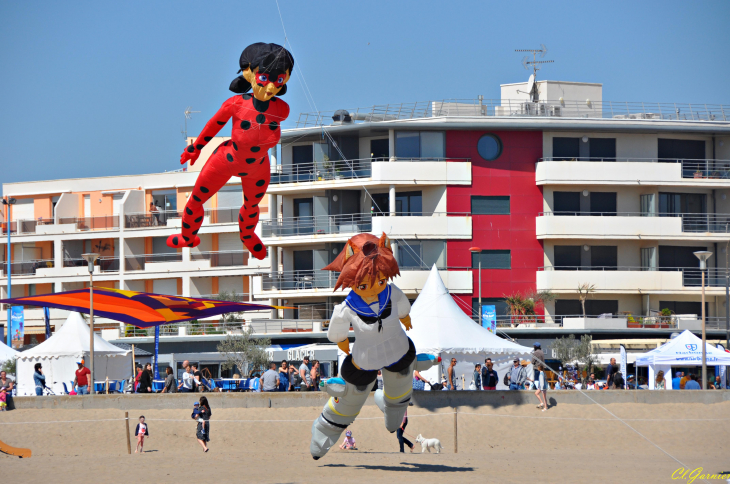 Natur'Ailes 2019 - Narbonne/Plage