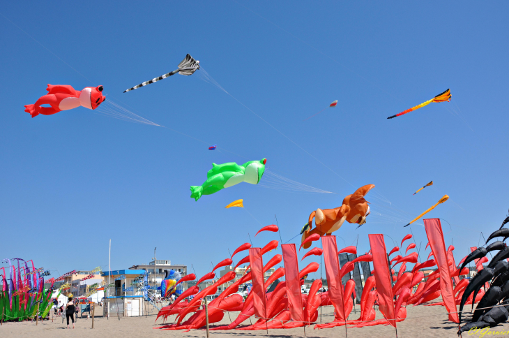 Natur'Ailes 2019 - Narbonne/Plage