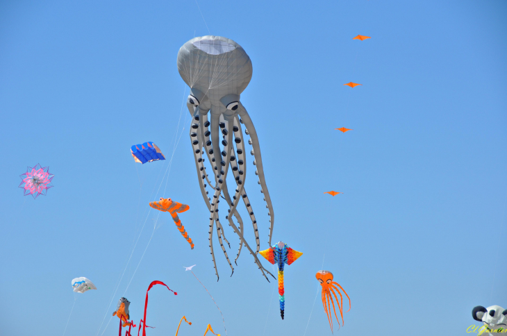 Natur'Ailes 2019 - Narbonne/Plage