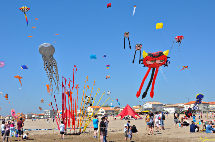 Natur'Ailes 2019 - Narbonne/Plage