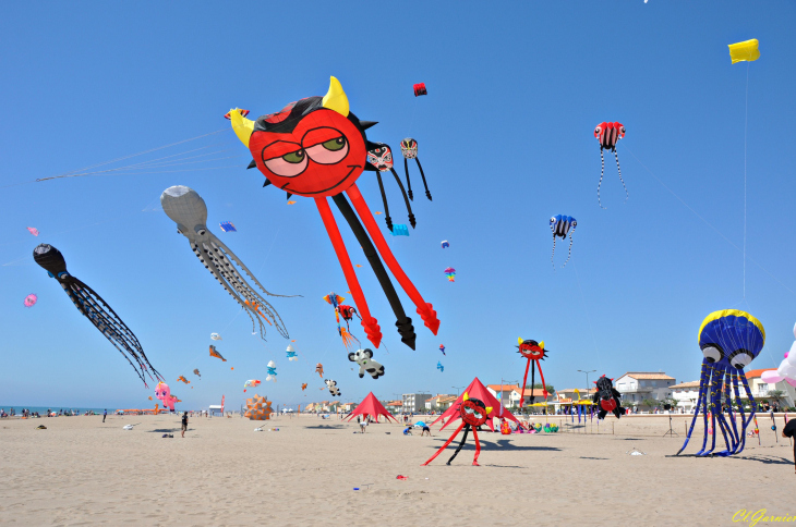 Natur'Ailes 2019 - Narbonne/Plage