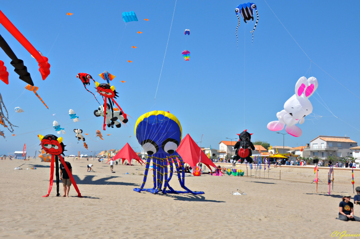 Natur'Ailes 2019 - Narbonne/Plage