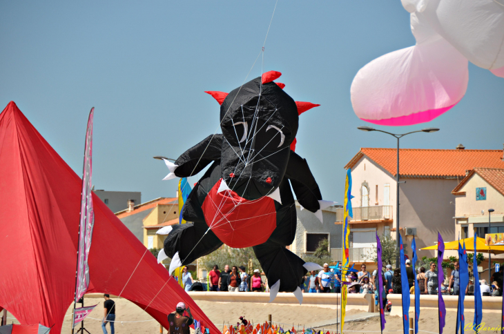 Natur'Ailes 2019 - Narbonne/Plage