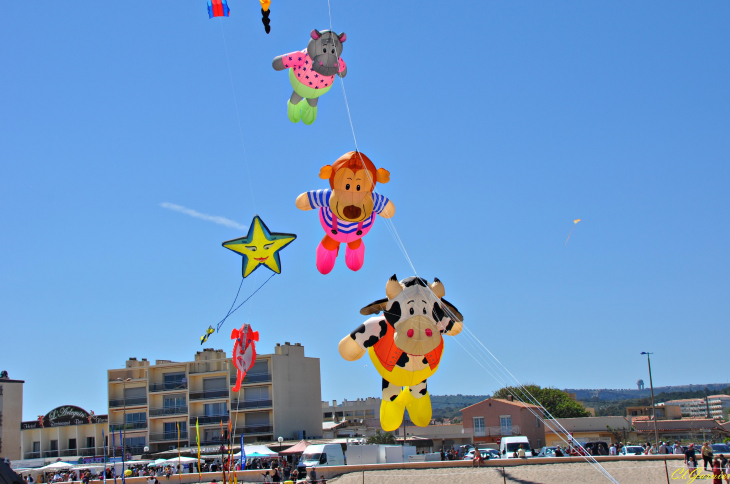 Natur'Ailes 2019 - Narbonne/Plage