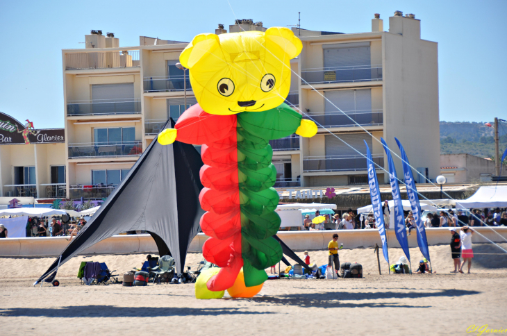 Natur'Ailes 2019 - Narbonne/Plage