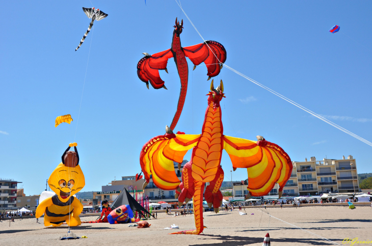 Natur'Ailes 2019 - Narbonne/Plage