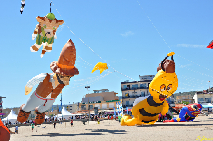 Natur'Ailes 2019 - Narbonne/Plage