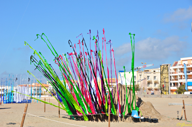 Natur'Ailes 2019 - Narbonne/Plage