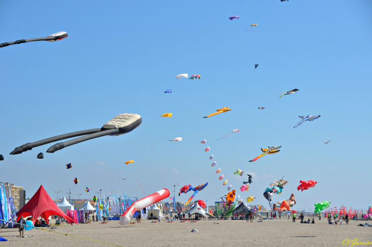 Natur'Ailes 2019 - Narbonne/Plage