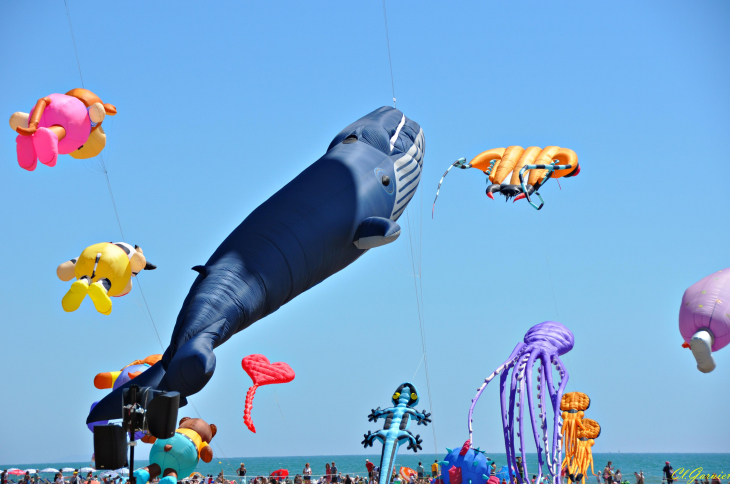 Natur'Ailes 2019 - Narbonne/Plage