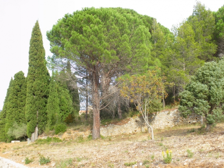 Paziols la fontaine de cucugnan