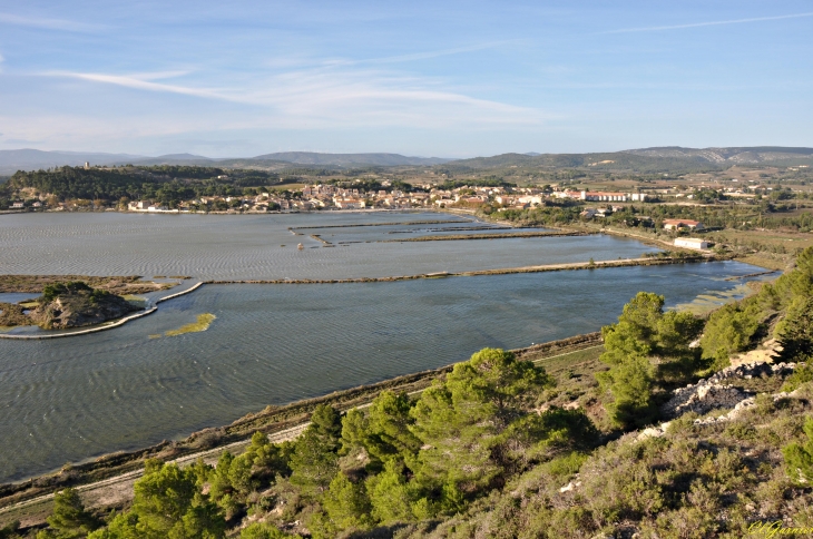 Les Salines - Peyriac-de-Mer