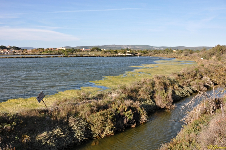 Les Salines - Peyriac-de-Mer