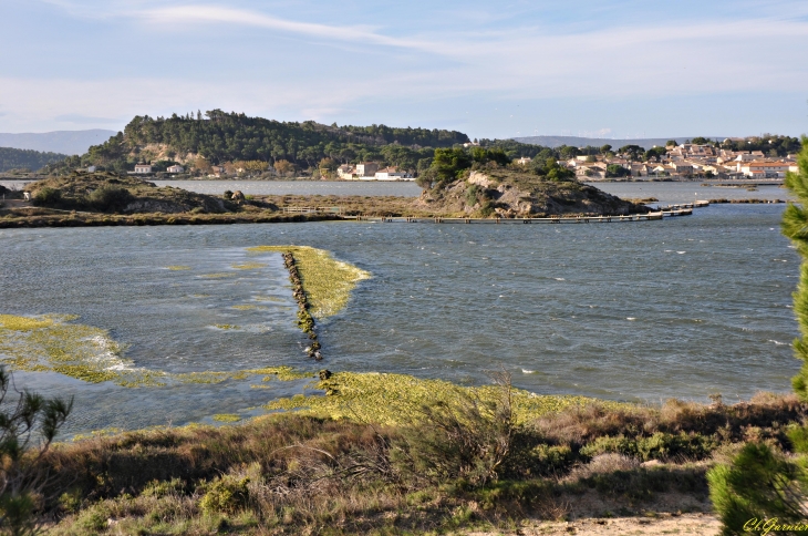 Les Salines - Peyriac-de-Mer