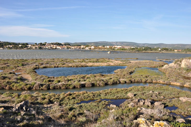 Les Salines - Peyriac-de-Mer