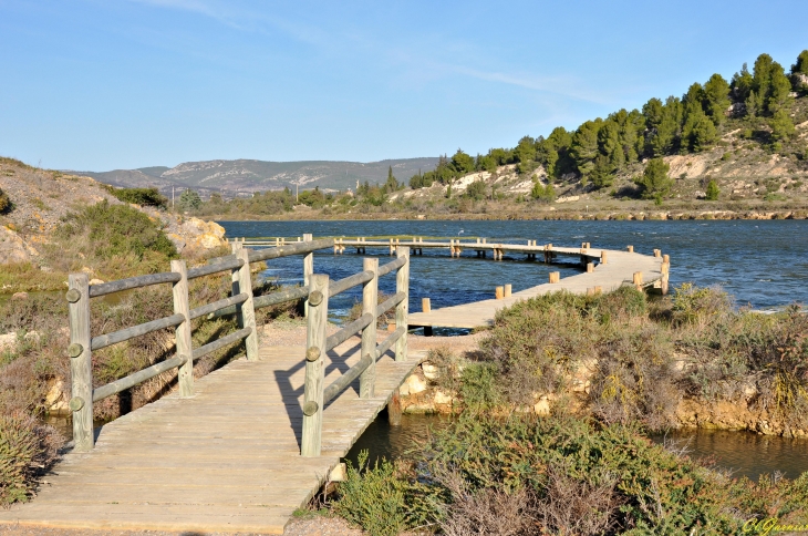 Les Salines - Peyriac-de-Mer