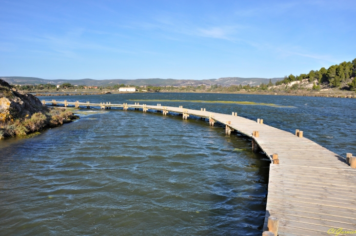 Les Salines - Peyriac-de-Mer