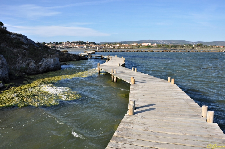 Les Salines - Peyriac-de-Mer