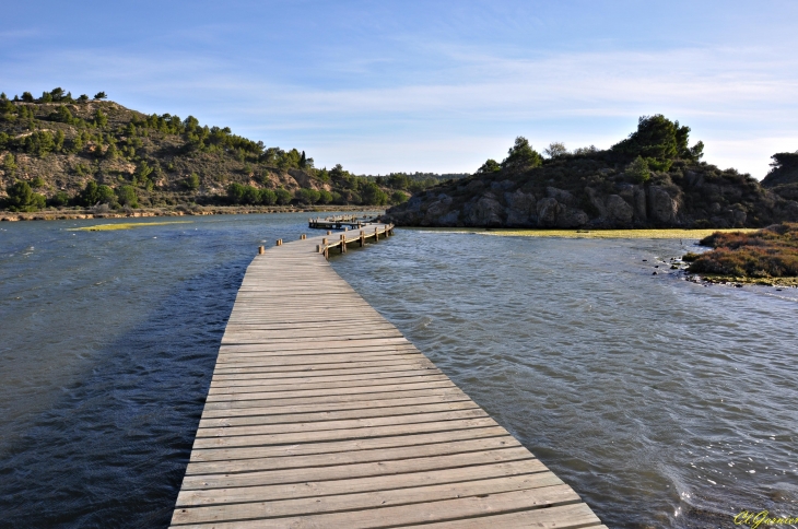 Les Salines - Peyriac-de-Mer