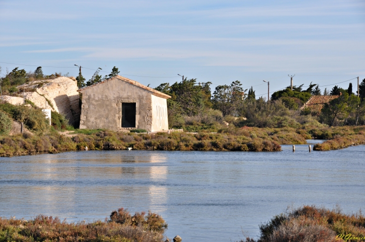 Les Salines - Peyriac-de-Mer