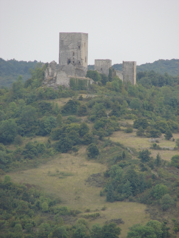 Le Château de Puivert