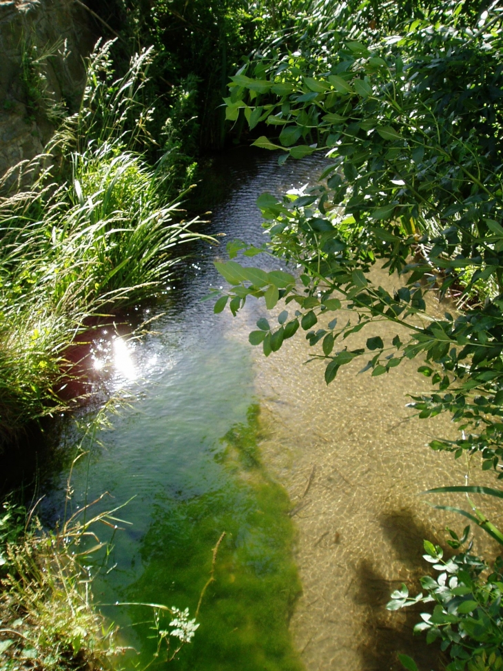 LA JOURE - Raissac-d'Aude