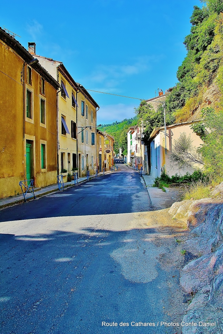 AVENUE  - Rennes-les-Bains