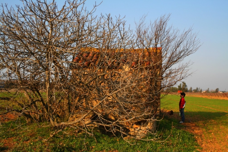 Cabanon de vigne - Saint-Nazaire-d'Aude