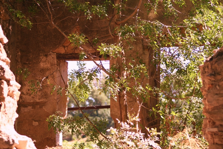 Cabanon de vigne au couché du soleil - Saint-Nazaire-d'Aude