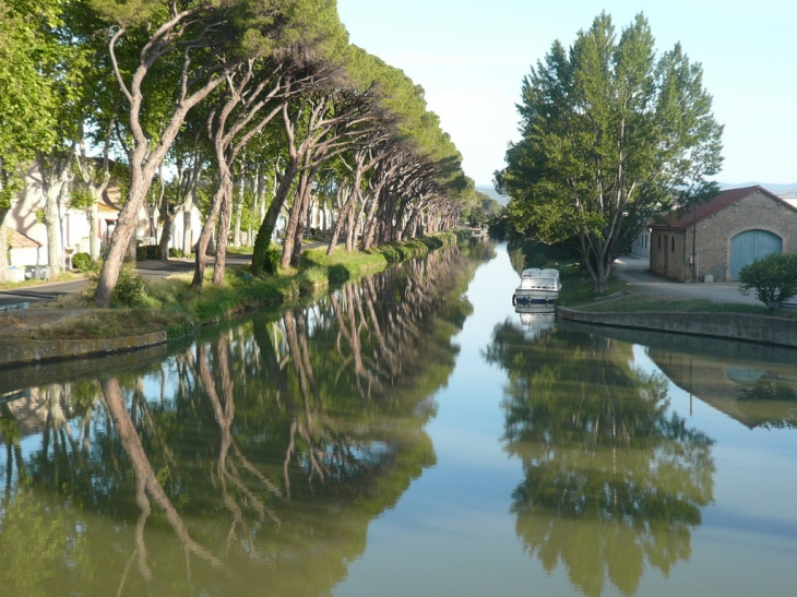 Le canal - Sallèles-d'Aude