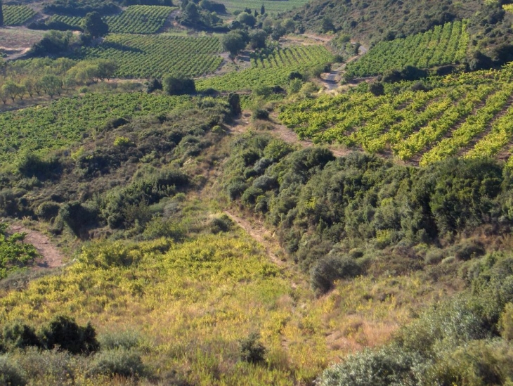 Les alentours de Taurize.