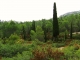 Photo précédente de Thézan-des-Corbières Dans la garrigue cote Montagut autour de Thezan