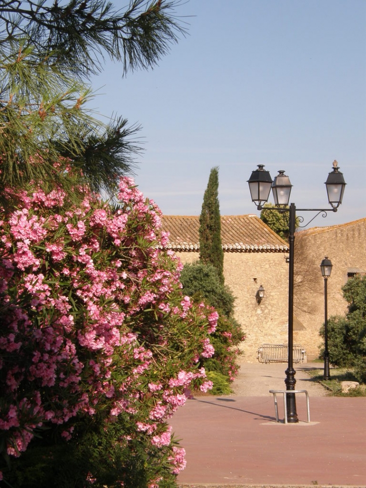 Place de promenade - Tournissan