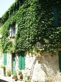 Rue de Villeneuve - Villeneuve-Minervois