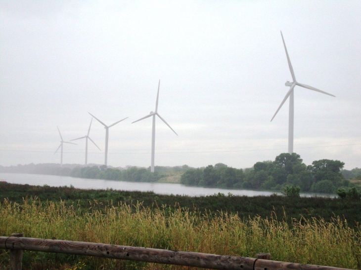 Beaucaire (30300) éoliennes au bord du Rhône