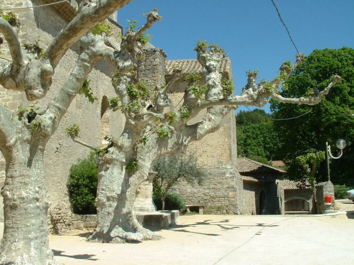 La Place du Village - Carsan