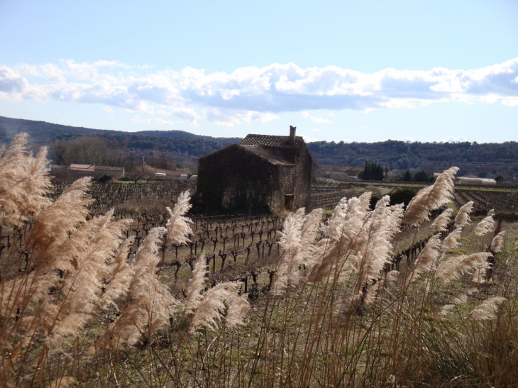 Cavillargues mas