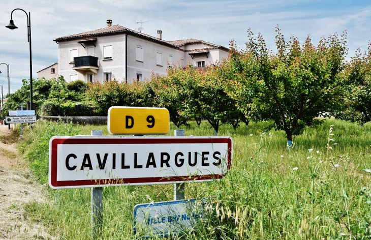 La Commune - Cavillargues