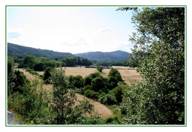 Vallée du Galeizon, champ de blé - Cendras