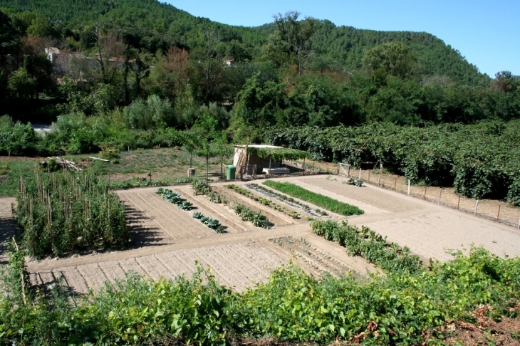 Jardin - Cendras