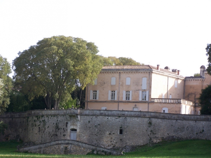 Le chateau - Dions