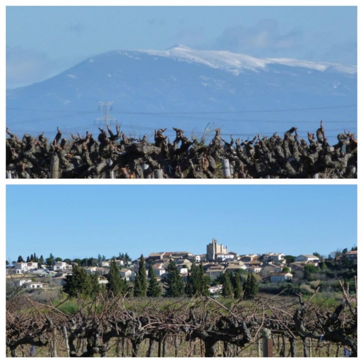 Le Mont Ventoux et le Village. - Estézargues