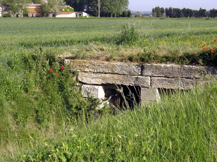 Dans la plaine - Fourques