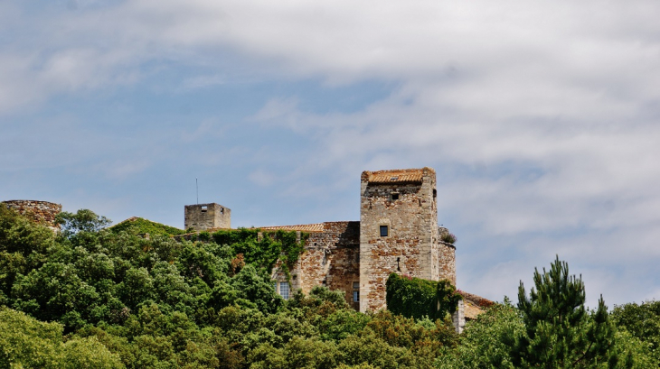 Le Château - La Capelle-et-Masmolène