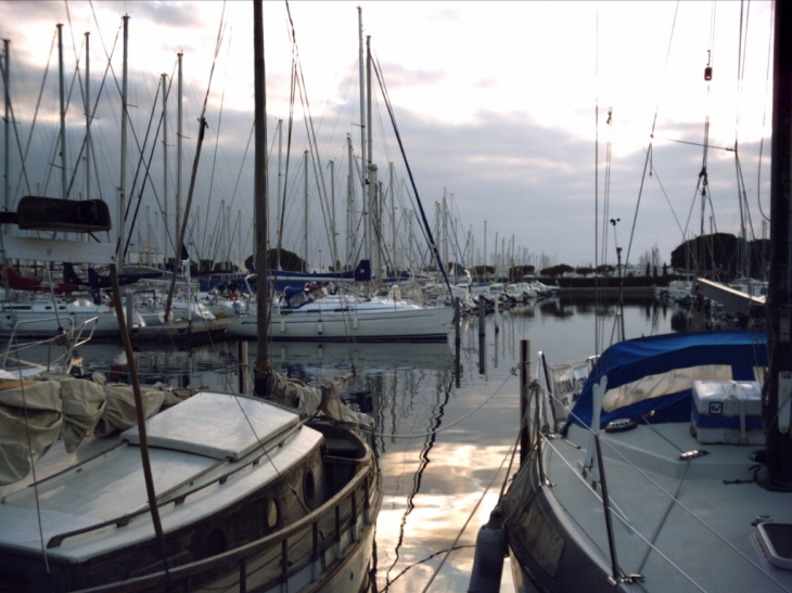 Les bateaux du port - Le Grau-du-Roi