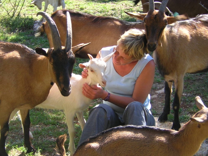 Ferme pédagogique - Méjannes-le-Clap