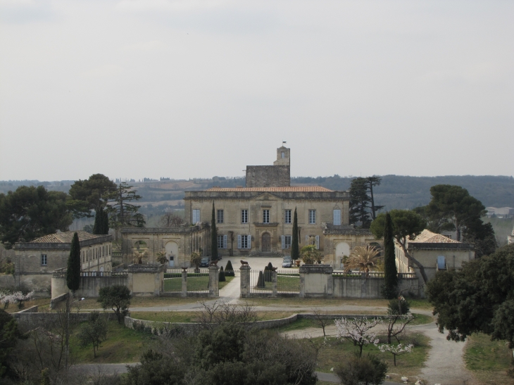 Vue d'ensemble sur le château de Montfrin prise de la colline.