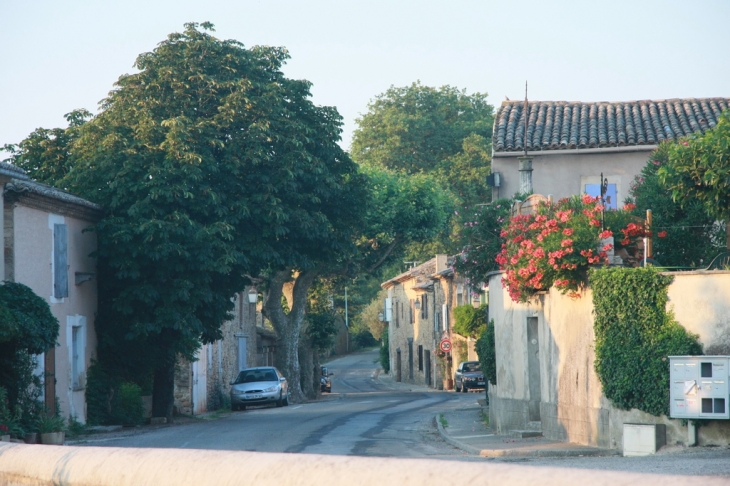 Avenue des lavandières - Saint-André-d'Olérargues