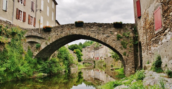 Pont Vieux sur le Gardon - Saint-André-de-Valborgne